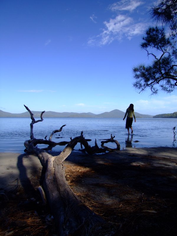 Travel - Australia - Dery Pictures Bush Party - The Lake near Forster